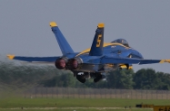 IMG_2900 (1000x493)