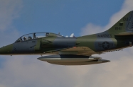 IMG_6772 (1000x485)