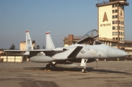 35 TY F-15C_79-0072_TY_9-1993_1024_filtered_delivery  flight Tyndall