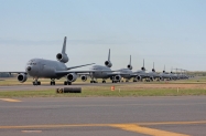 Elephant Walk - no C-12