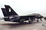 F-14A-Black-Bunny-a