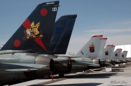 VF-11_El_Centro_2005_0061