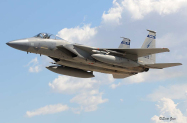 125th_FW_F-15A_RF_5310