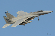 MO_390th_FS_RF_9877