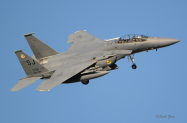335th_FS_F-15E_7787