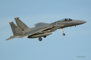 Kadena_18th_WG_F-15C_8010