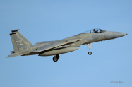 Kadena_44th_FS_F-15C_8030