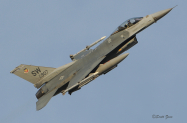 55th_FS_F-16C_RF_2700