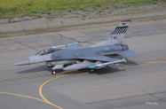 wing-bird