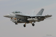 VAQ-141_EA-18G_Growler_6312