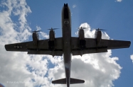 FIFI 5_edited-1