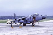 Sea-Harrier-FRS1-