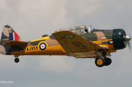 Harvard_Skipper