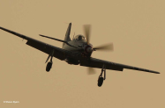 P51_Thom_Evening