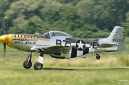 P51BaldEagle