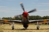 genseseo-airshow-2010_mark-hrutkay_tnmarkme-com-_30d3616