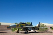 green-flag-ops-1