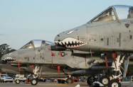 Static_A10s