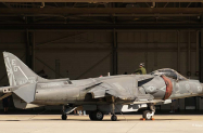 OH_Static_Harrier1