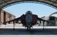 OH_Static_Harrier6