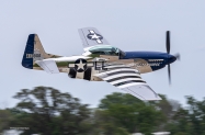 Enhc-P-51D-N351DT-Crazy-Horse-6810