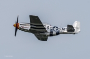 Enhc-P-51D-N51KB-Aint-Misbehavin-6503
