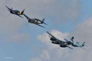 OSH-25-Flight-Of-Cats-2