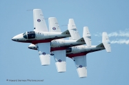 Enhc3Snowbirds_DSC5107