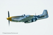 EnhcP51BaldEagle_DSC5390