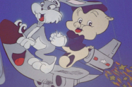 WABBIT-TRANSIT