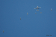 WTI_KC-130_Yuma_0115