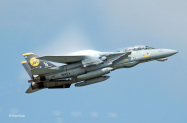 F-14D