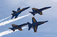 Blue Angels (4)