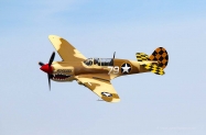 POF P-40