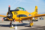 T-28