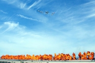 Tora Tora Tora (11)