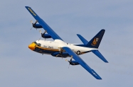 Fat Albert (1)