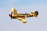 POF P-40