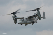Osprey1