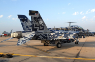 FA-18F_165677