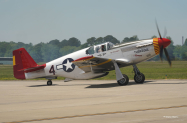 Mustang_Tuskegge_Taxi