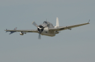 Avenger_1