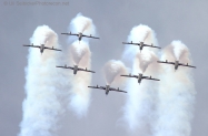 87_Marrakesh_DemoTeam_AL_FURSAN_5
