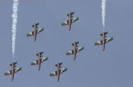88_Marrakesh_DemoTeam_AL_FURSAN_3