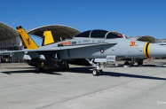 MALS31