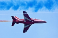 DSC3529