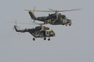 MIL-24V-AND-MIL-171Sh