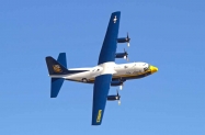Fat Albert (20)