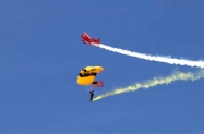 Skydivers (2)