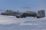 S9A1038-Enhanced-NR